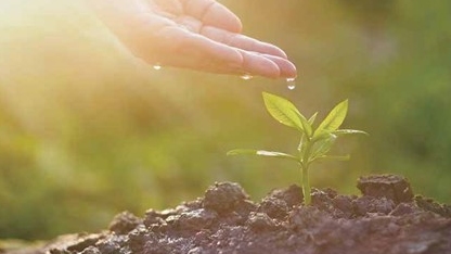 RCS 再生成分标准认证